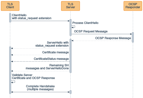 TLS Handshake with Client-Driven OCSP